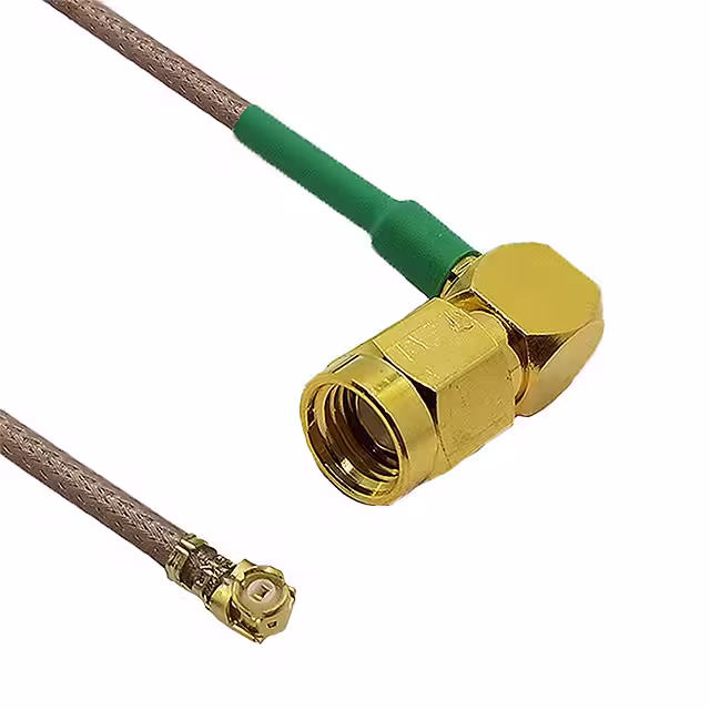 CBG-IPX-SALRMGT-6IN