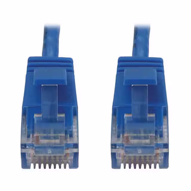 N261-S25-BL